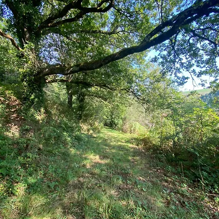 Yourte Vue Exceptionnelle Teillet (Tarn)